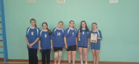 Спортивные соревнования по волейболу на Кубок района среди девушек.