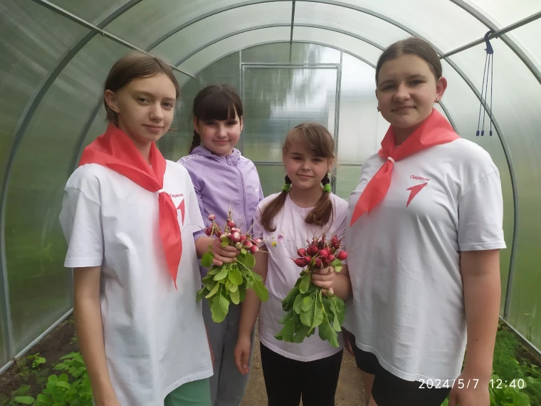 Киноуроки продолжаются!.