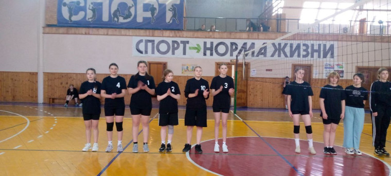Сегодня прошёл очередной этап зональных соревнований по волейболу..